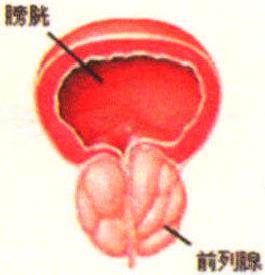 一、疾病概述